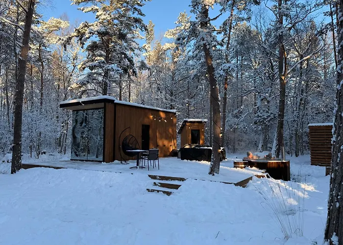 Prázdninový dům Telise Tinyone - Modern Forest Escape With Private Hot Tub Voola